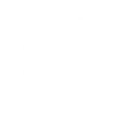 Firmware Development